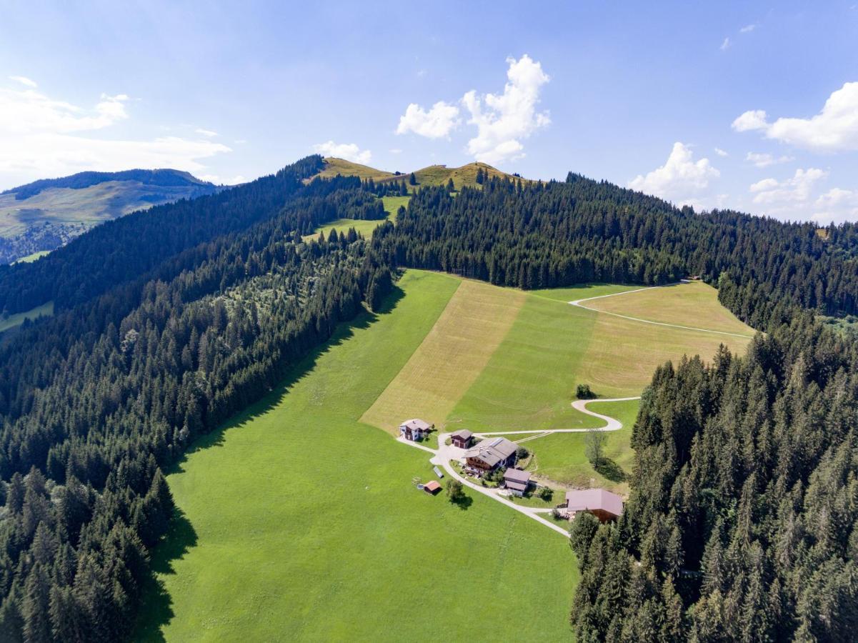 Biobauernhof Fleckl Villa Hopfgarten im Brixental Exterior photo