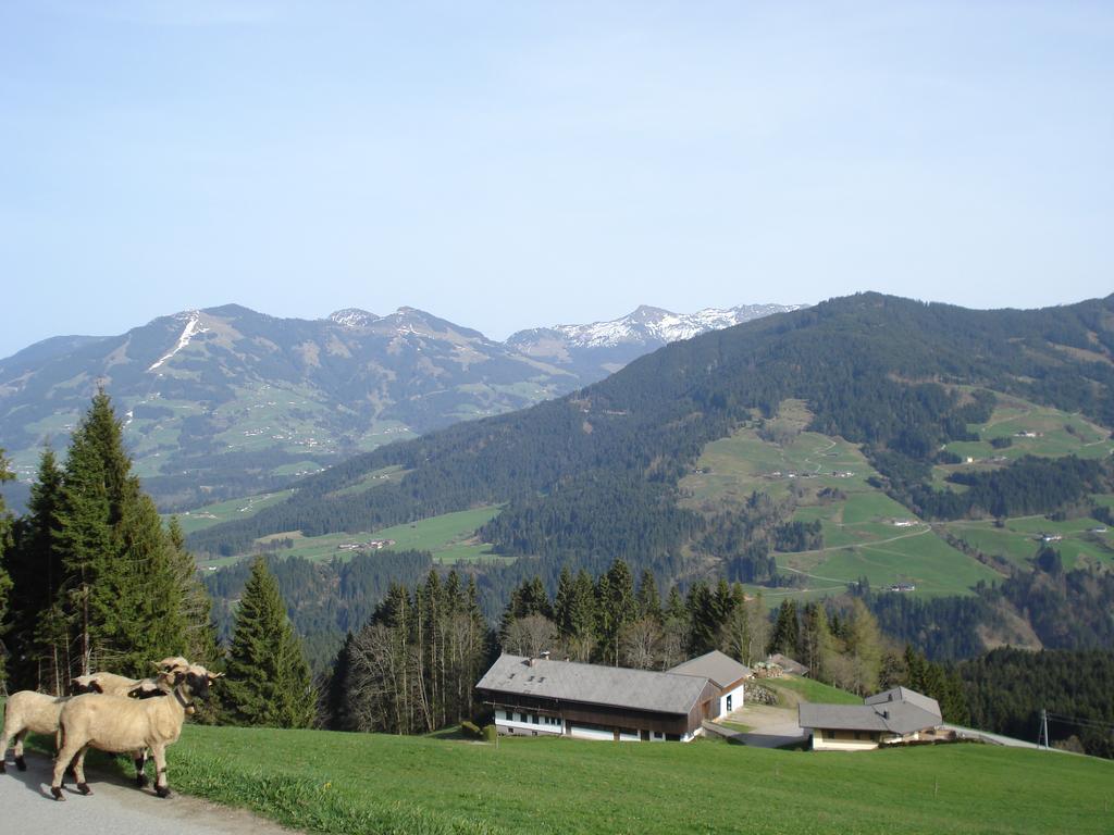 Biobauernhof Fleckl Villa Hopfgarten im Brixental Exterior photo